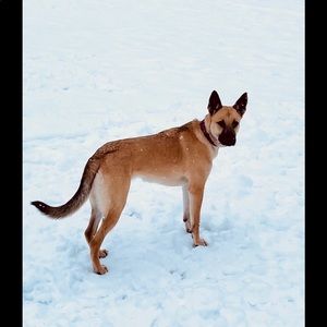 Meet your Posher, Charles